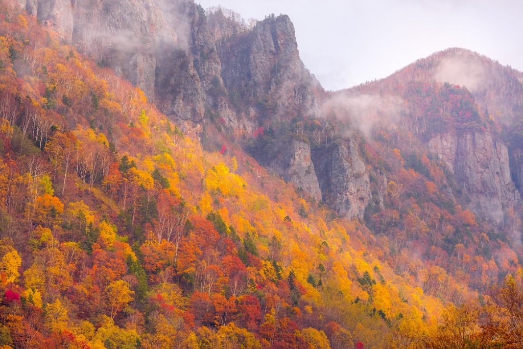 🏞️ 카나야마 호수 삼림공원 (카나야마코 신린코엔) 이미지 1